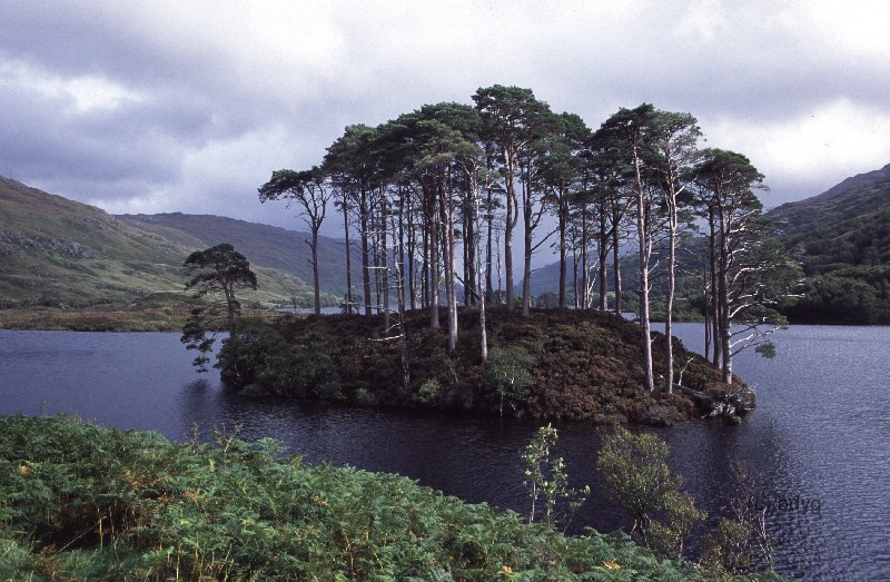 loch_eilt_1