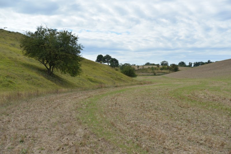 bibi-und-tina-1-libbenichen-b 15