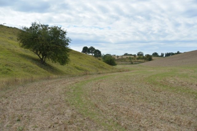 bibi-und-tina-1-libbenichen-b 15