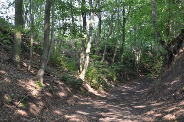 bibi-und-tina-1-wangen-hohlweg-b 7