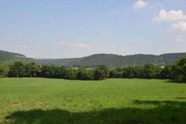 bibi-und-tina-1-wangen wiese-a5-drehorte