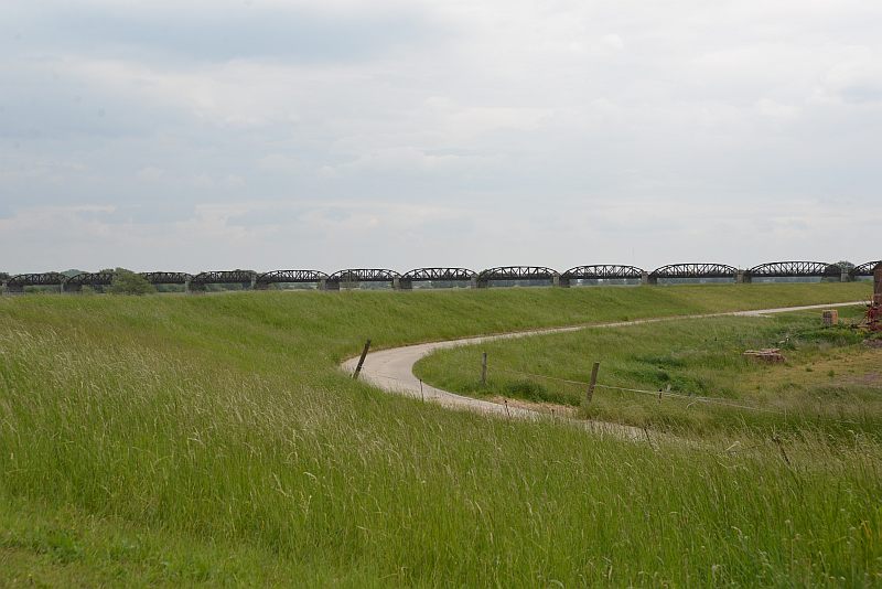 honig-im-kopf-elbbruecke doemitz-a 09