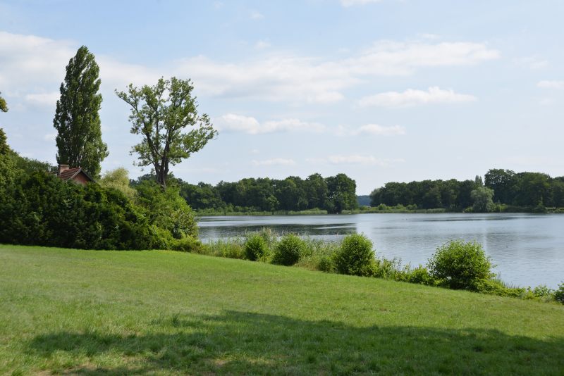 honig-im-kopf-potsdam-rotes-haus a3