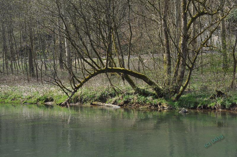 sdwf-03118burggaillenreuth