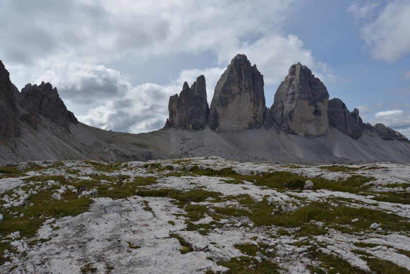 honig-im-kopf-drei-zinnen-a03