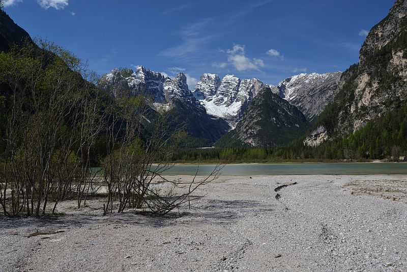 honig-im-kopf-duerrensee-d-20