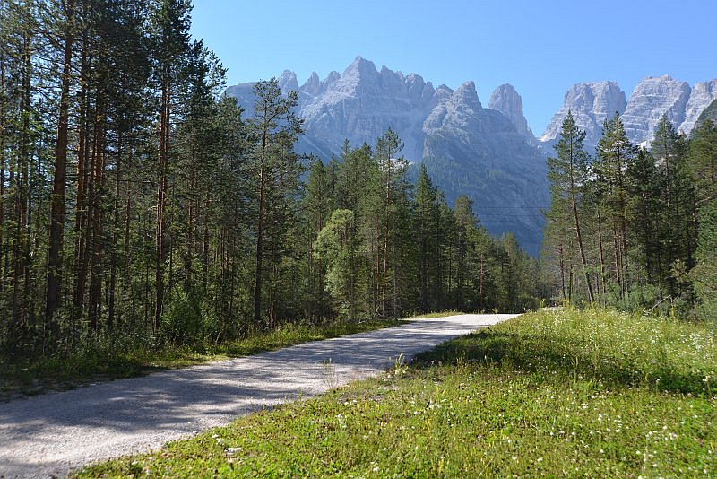 honig-im-kopf-duerrensee-traktor-a 6