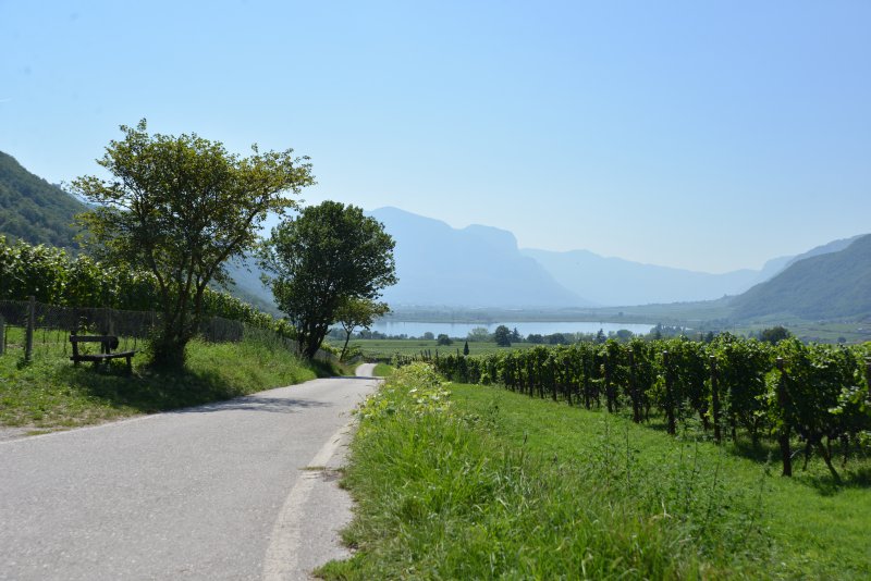 honig-im-kopf-kalterer-see-a 09