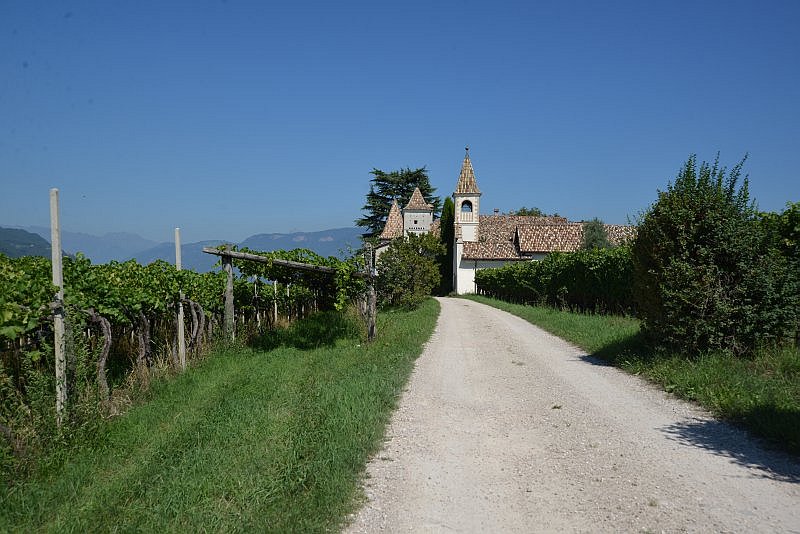 honig-im-kopf-kreithof-a 17