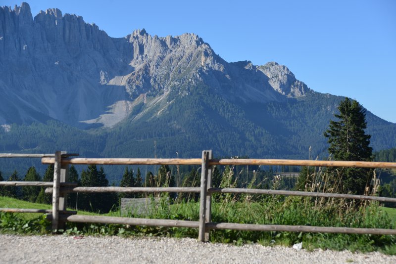 honig-im-kopf-nigerpass-latemar-a 11