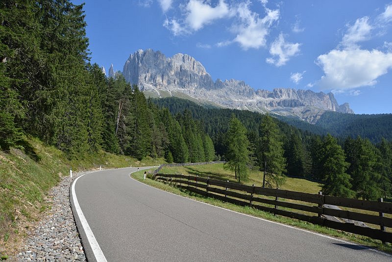honig-im-kopf-nigerpass-rosengarten-a 2