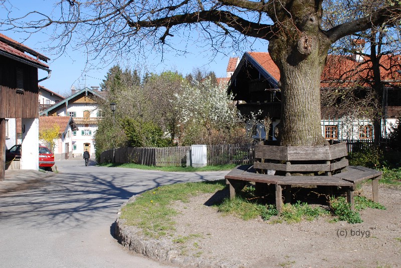 wfsilt_drehort_grainbach_11_C