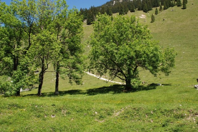 wfsilt_drehort_mitteralm_wendelstein_03_C