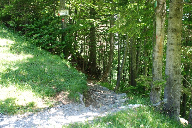 wfsilt_drehort_mitteralm_wendelstein_06_C
