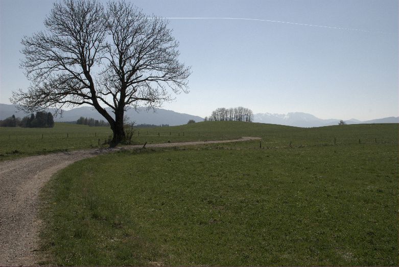 wfsilt_drehort_piesenkam_24_wer_früher_frueher_stirbt_ist_länger_laenger_tot_film_location_filmlocation_17-3-2007.jpg