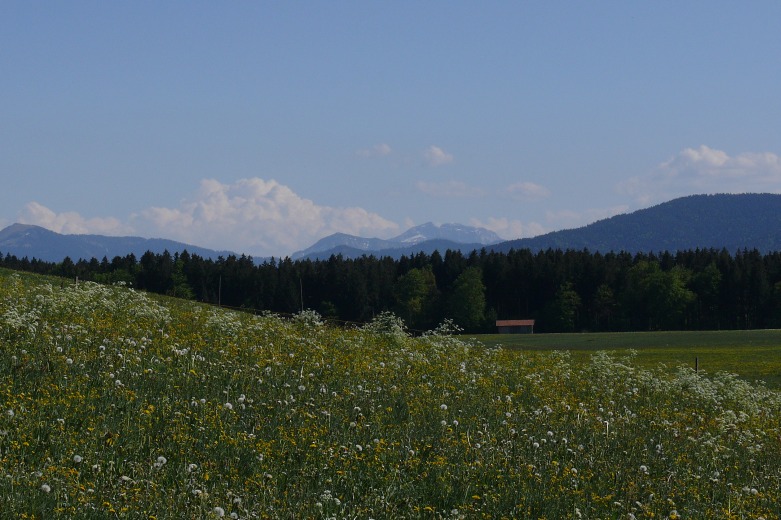 wfsilt_drehort_piesenkam_40_wer_früher_frueher_stirbt_ist_länger_laenger_tot_film_location_filmlocation_1-5-2007