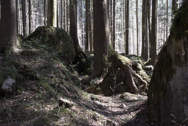 wfsilt_drehort_ruhpolding_märchenwald_11_wer_früher_frueher_stirbt_ist_länger_laenger_tot_film_location_filmlocation_17-3-2007.jpg