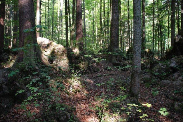 wfsilt_drehort_ruhpolding_märchenwald_21_C