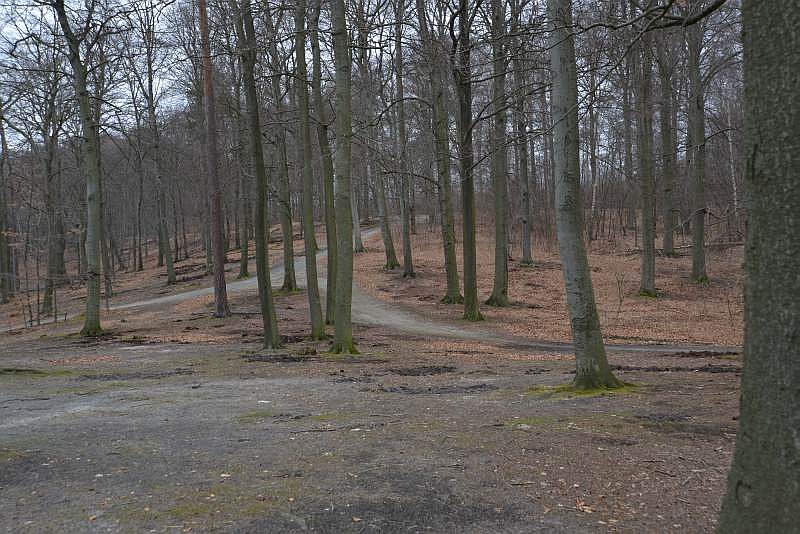 bibi-und-tina-2-liepnitzsee-5