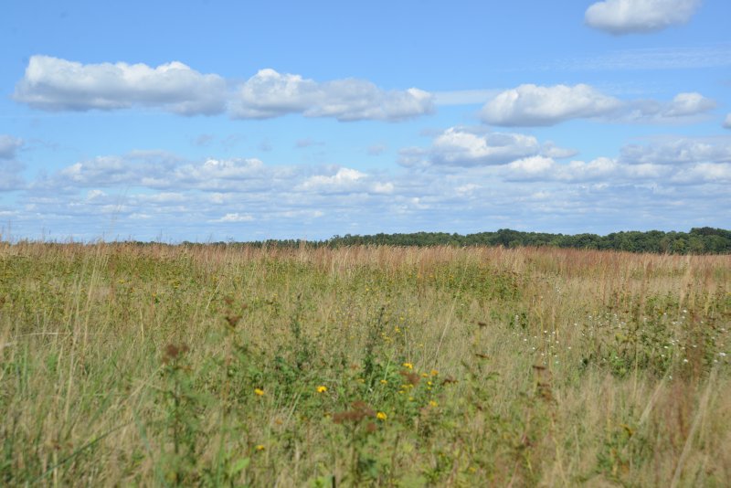 bibi-und-tina-2-nudow-b_09