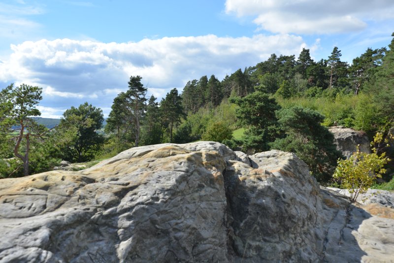 bibi-und-tina-2-teufelsmauer-hamburger-wappen-a_03