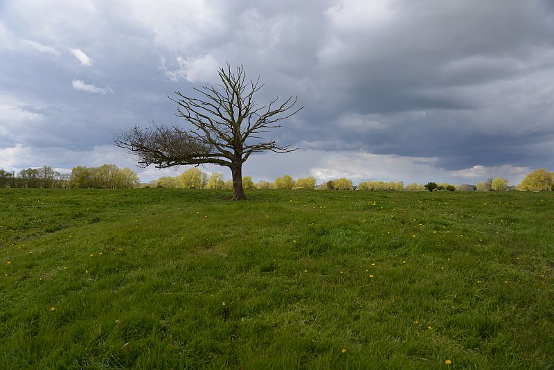 bibi-und-tina-4-kietz-wiese-a_16