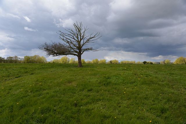 bibi-und-tina-4-kietz-wiese-a_16