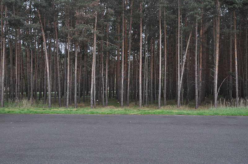 bibi-und-tina-4-linthe-a_25