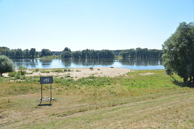 bibi-und-tina-4-wootz-a_42