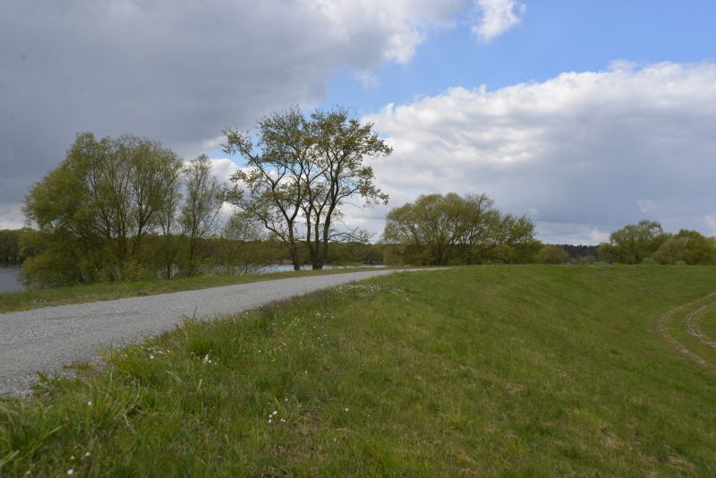 bibi-und-tina-4-wootz-b_5