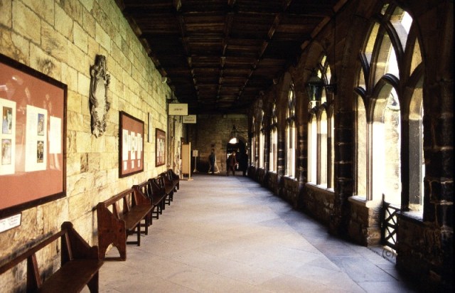 dh-06-durham-harry-potter-und-die-kammer-des-schreckens