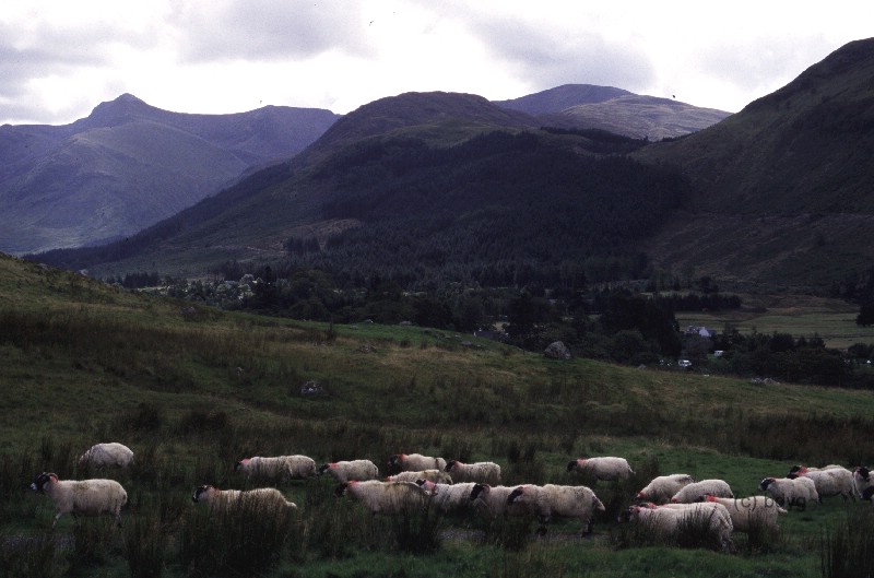 glen_nevis_quidditch