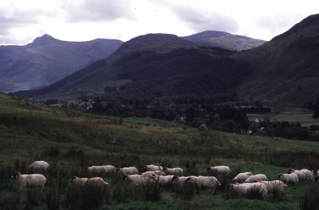 glen_nevis_quidditch