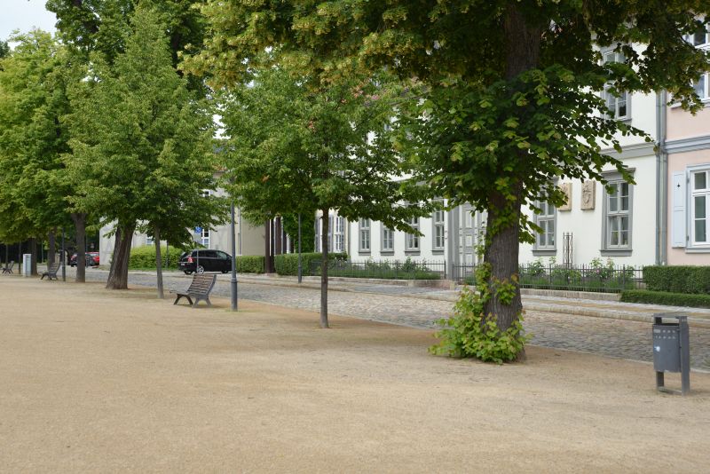 heidi-halberstadt-a 05