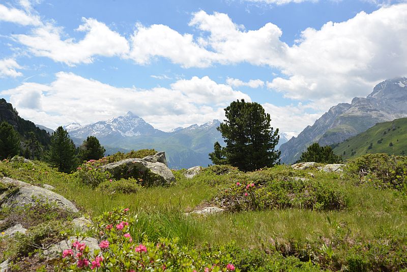 heidi-lai-da-vons-a 07 drehorte