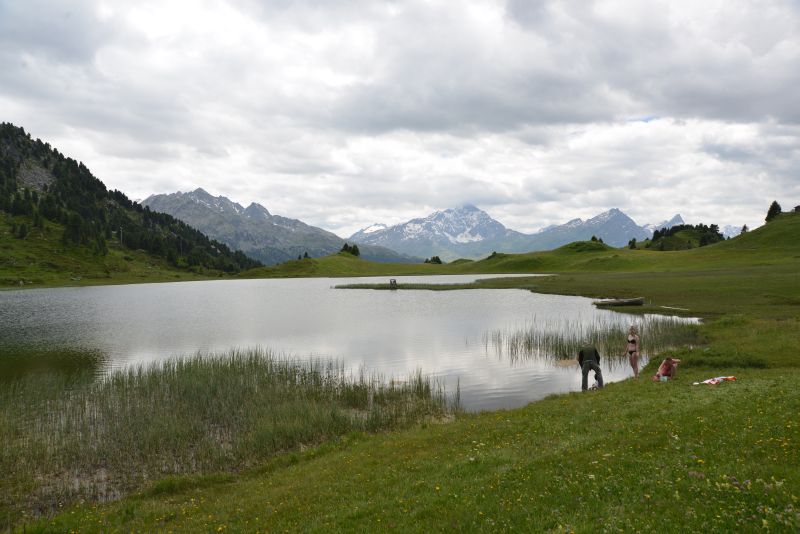 heidi-lai-da-vons-a 32