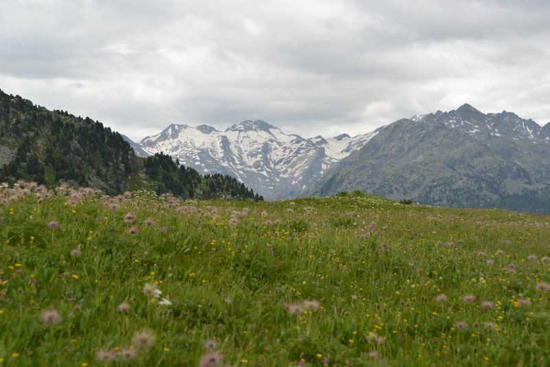 heidi-lai-da-vons-a 38