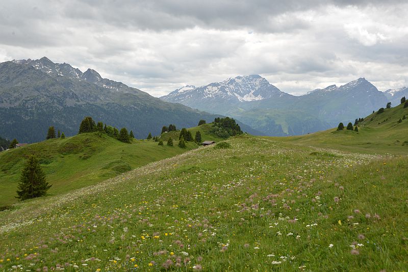 heidi-lai-da-vons-a 45 drehort 2015