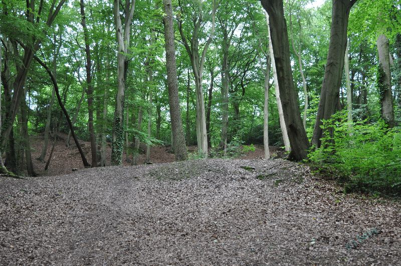 hp-burnham_beeches_a20