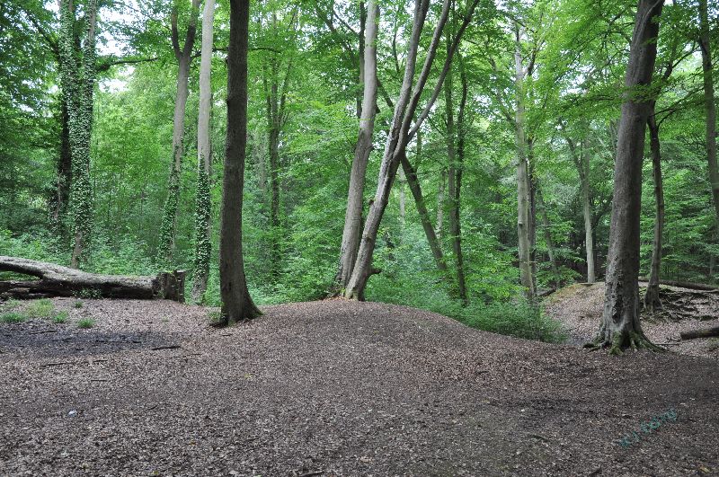 hp-burnham_beeches_a28