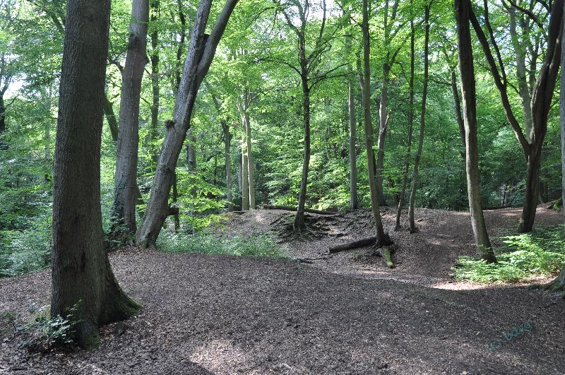 hp-burnham_beeches_a29