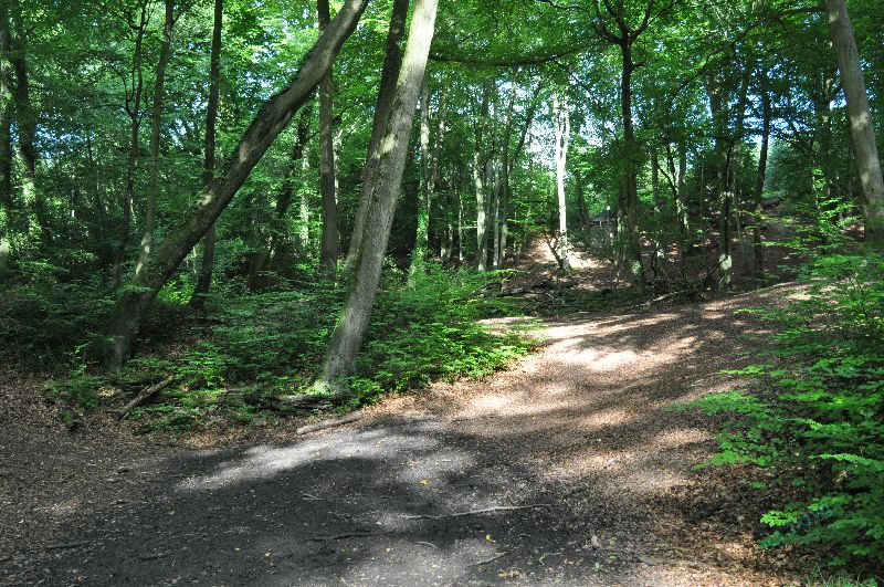 hp-burnham_beeches_a34