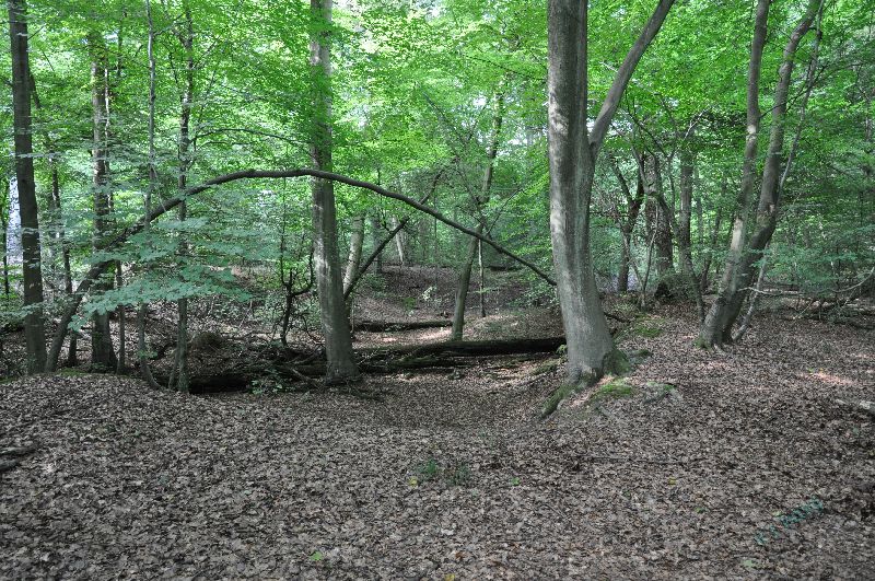 hp-burnham_beeches_b02
