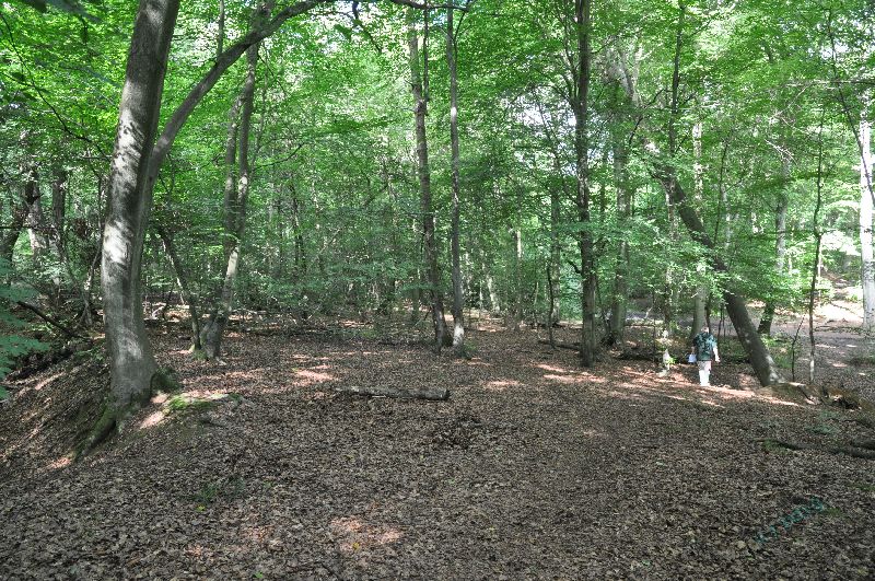 hp-burnham_beeches_b05